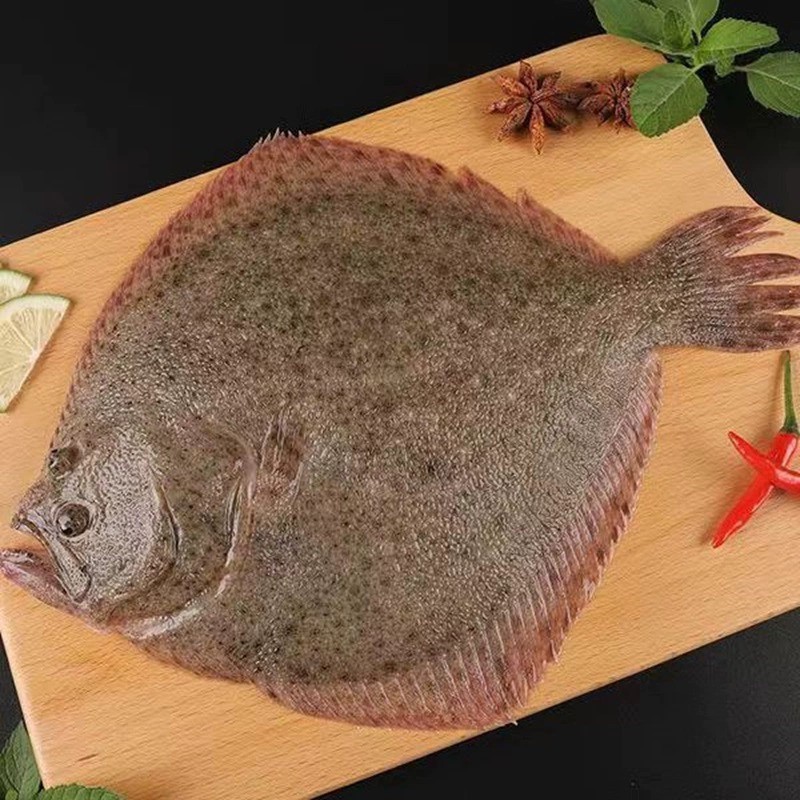 多寶魚是海魚嗎 多寶魚是海魚嗎 龍魚論壇 第2張
