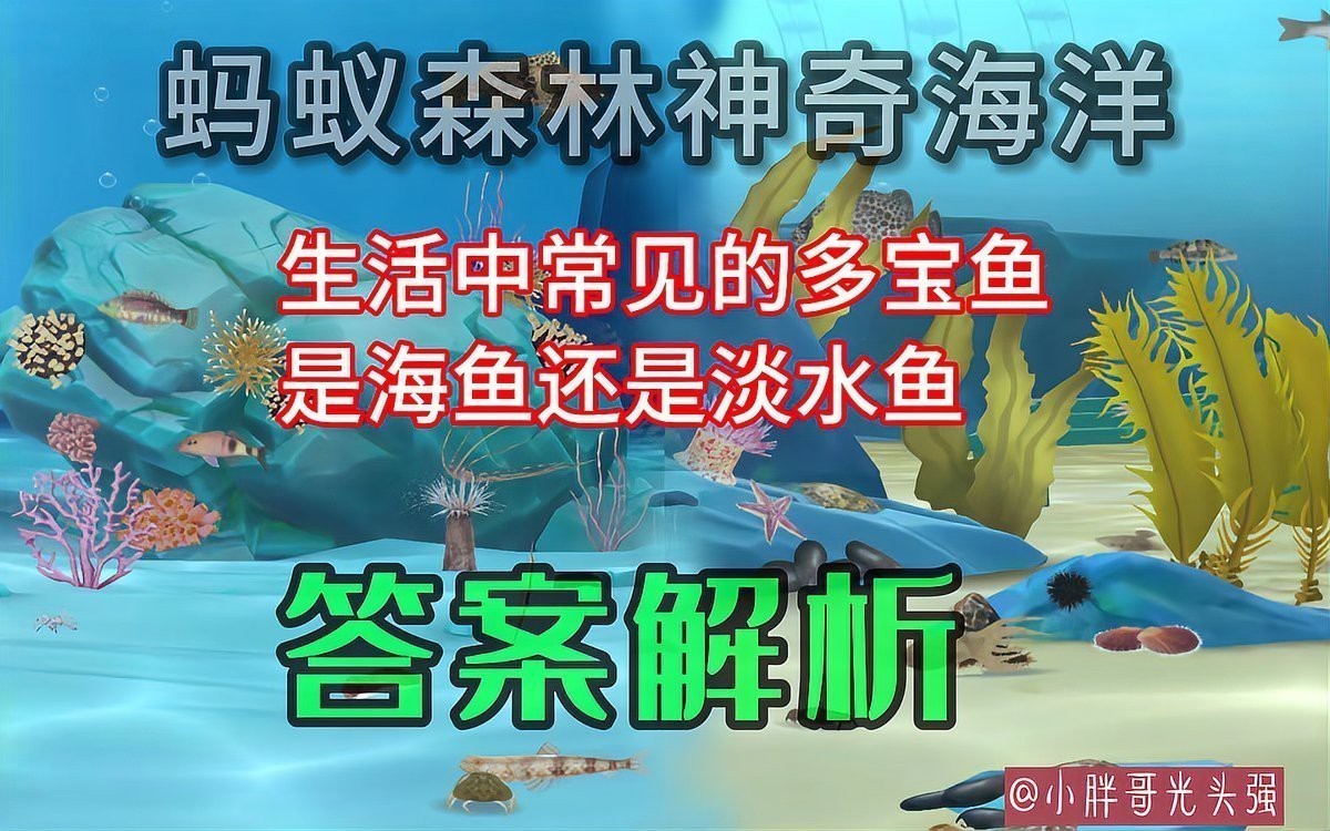 多寶魚是海魚嗎 多寶魚是海魚嗎 龍魚論壇 第6張