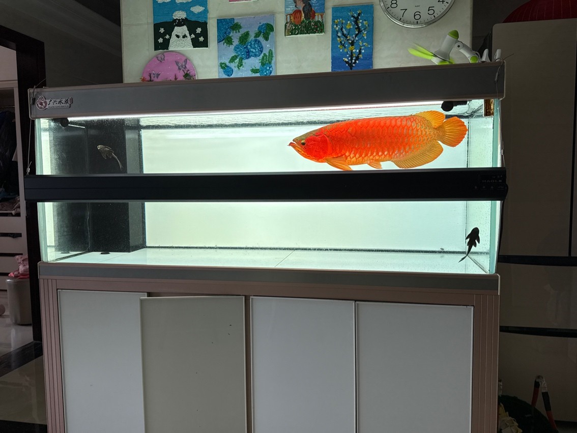 魚到家7年留念