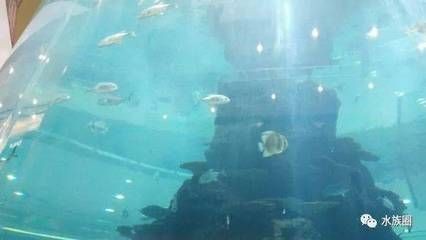 鴻通城大魚缸怎么樣（貴陽鴻通城購物中心）