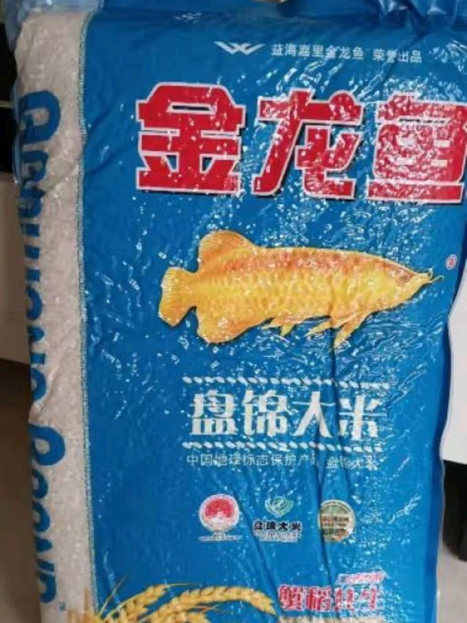 金龍魚10斤裝的價格是多少？