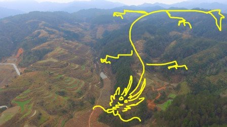 道之三龍三合一體叫什么 道之三龍三合一體叫什么 龍魚論壇 第5張