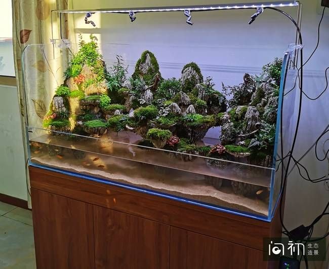 廣州魚缸造景公司哪家好：廣州市天河區東棠借缸養魚水族店水族店&nbsp