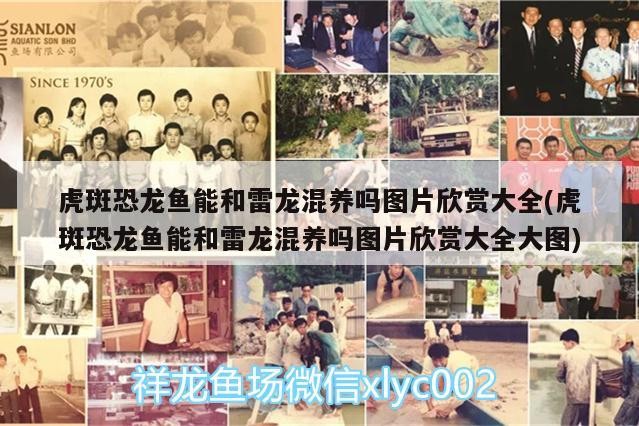 瀘州市江陽區(qū)森林造景經(jīng)營部
