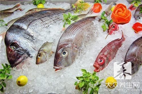 胡子魚和鯰魚的區別 胡子魚和鯰魚的區別 龍魚論壇 第7張