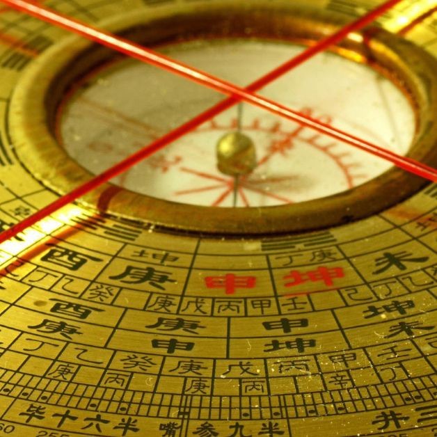 胡子魚和鯰魚的區別 胡子魚和鯰魚的區別 龍魚論壇 第15張