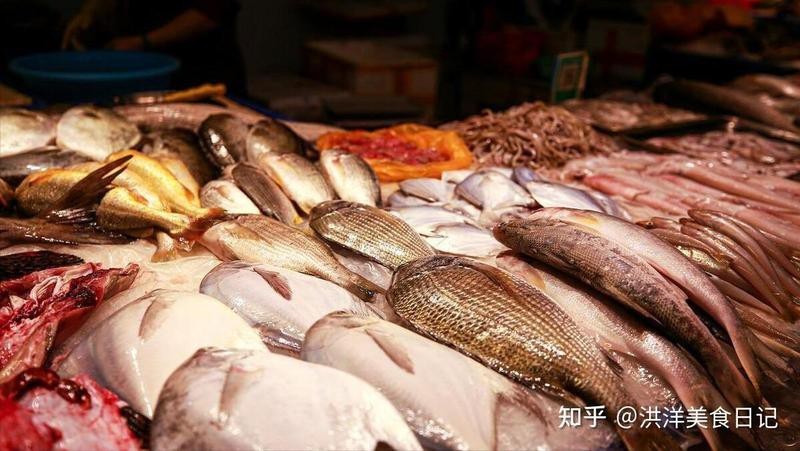 石狗仔魚為何要少吃 石狗仔魚為何要少吃 龍魚論壇 第4張