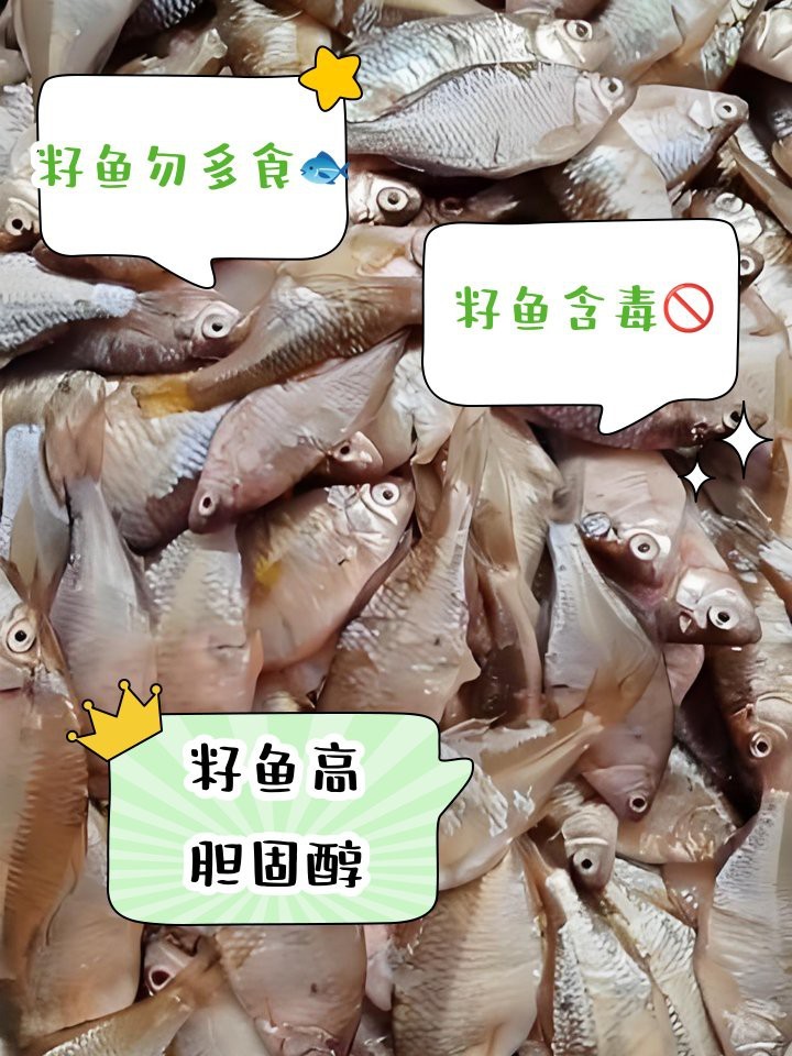 石狗仔魚為何要少吃 石狗仔魚為何要少吃 龍魚論壇 第7張