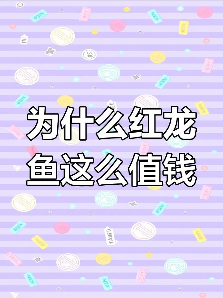 紅龍魚顏色最貴的三個原因 紅龍魚顏色最貴的三個原因 龍魚論壇 第1張