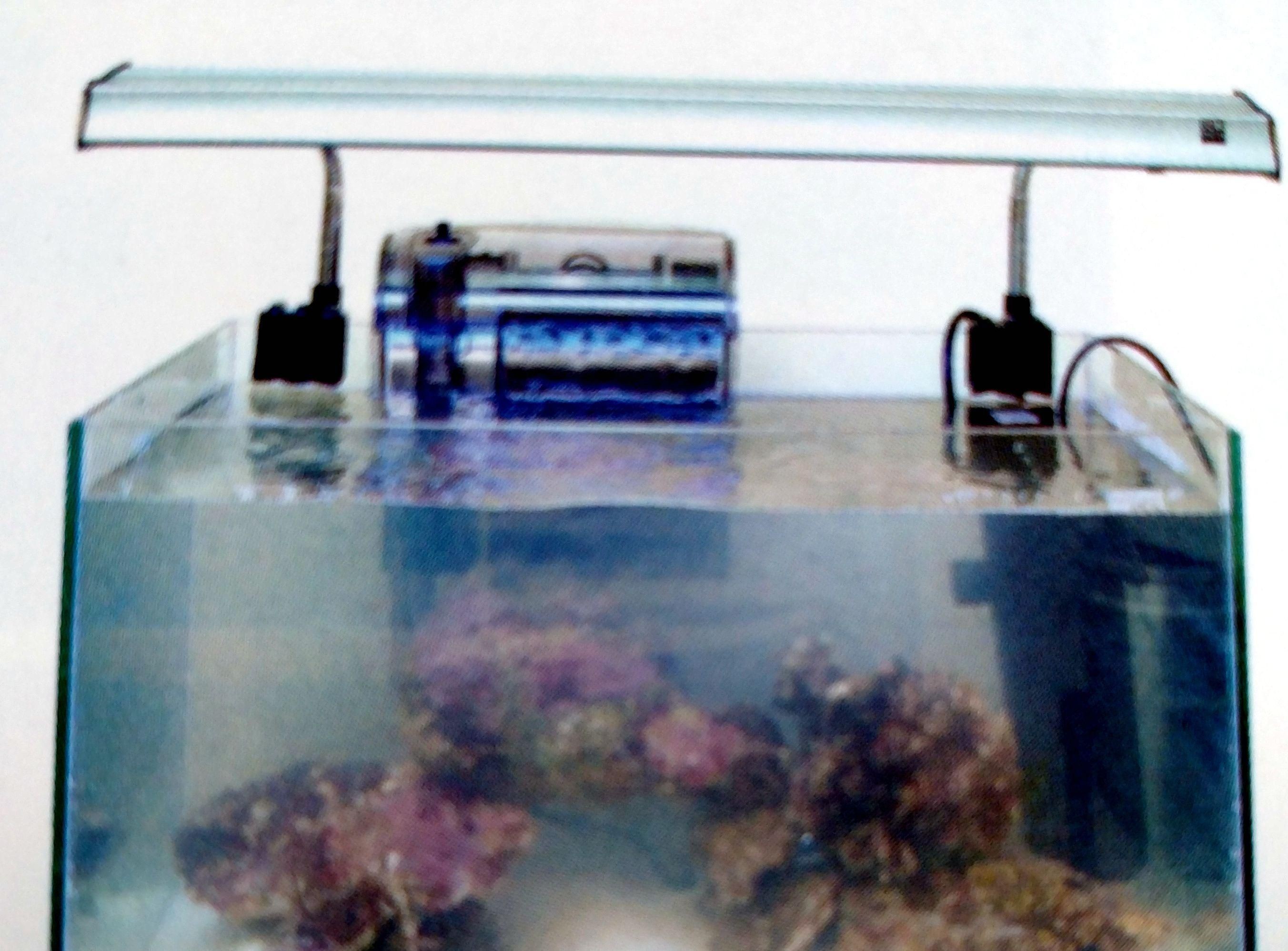 海水魚缸如何清洗（海水魚缸怎么清洗）