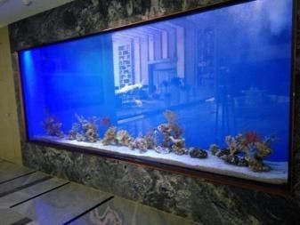 海水魚缸如何清洗（海水魚缸怎么清洗）
