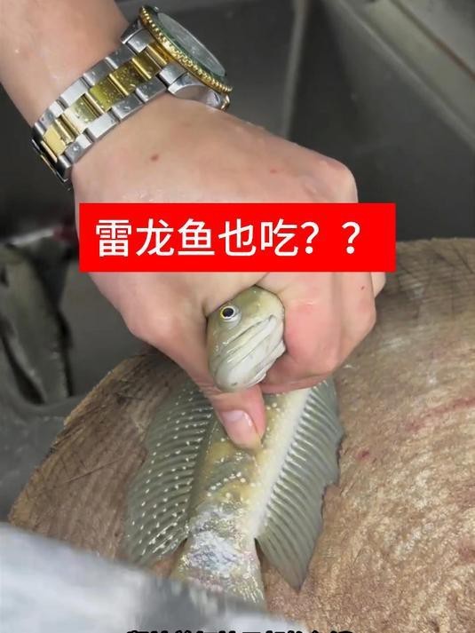 雷龍魚的家常做法