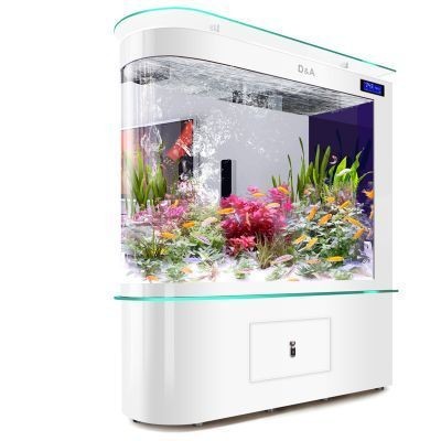品牌魚缸排名（2024品牌魚缸排名）