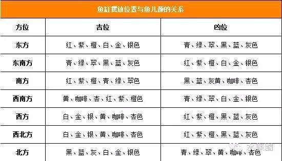 魚缸在客廳的最佳位置示意圖（魚缸在客廳的最佳位置示意圖不僅美觀還能帶來好運）