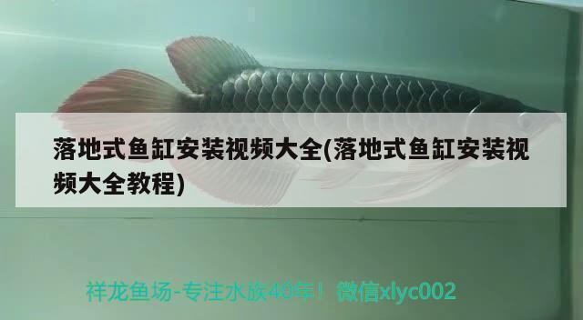 鄭州市金水區鴻運水族館（鄭州市金水區鴻運水族館地址）