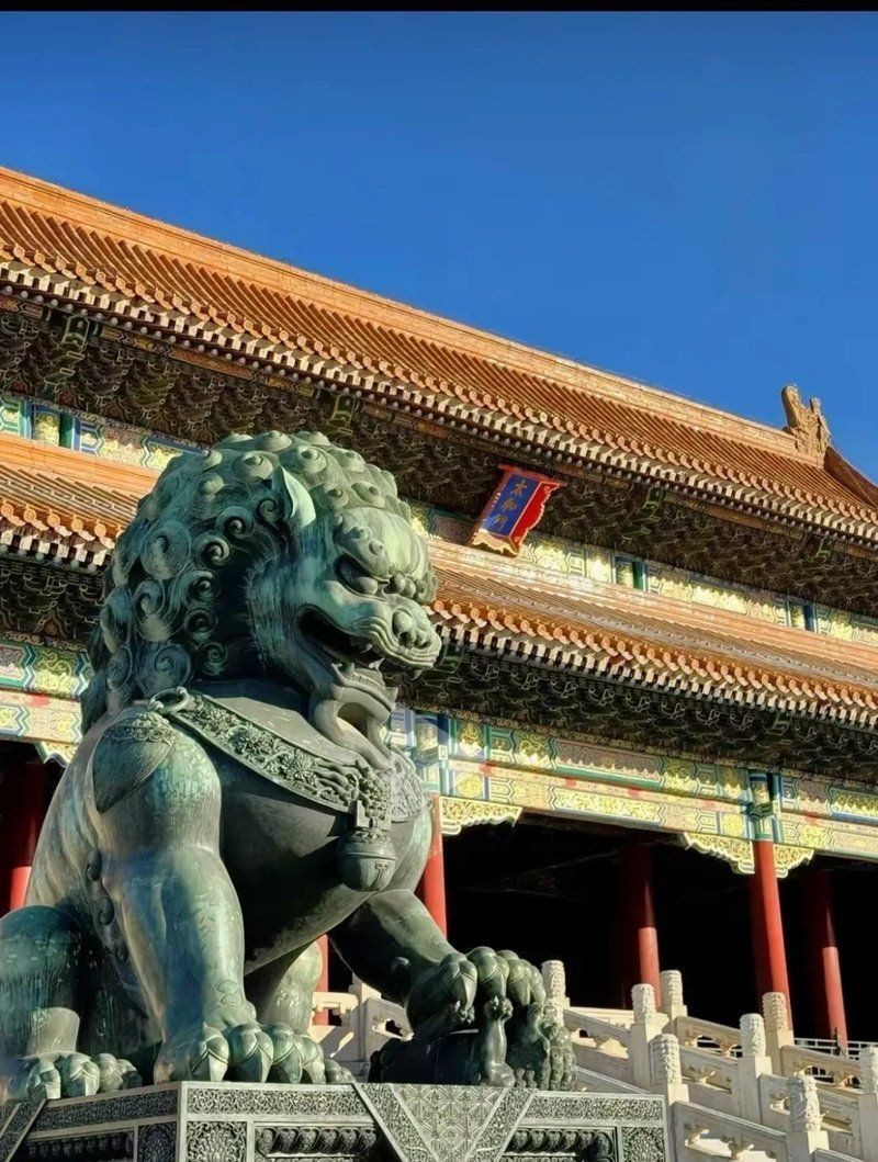 海象魚象征什么意義 海象魚象征什么意義 龍魚論壇 第5張