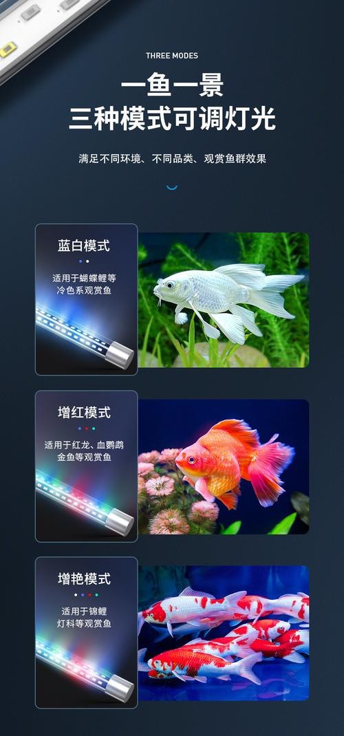 龍魚缸潛水燈正確擺放圖