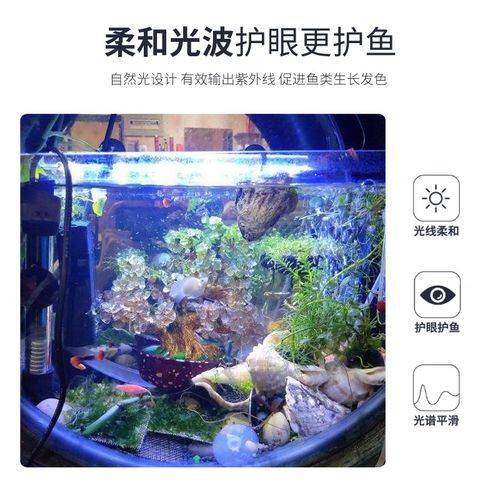 龍魚缸潛水燈正確擺放圖
