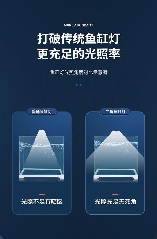 龍魚缸潛水燈正確擺放圖