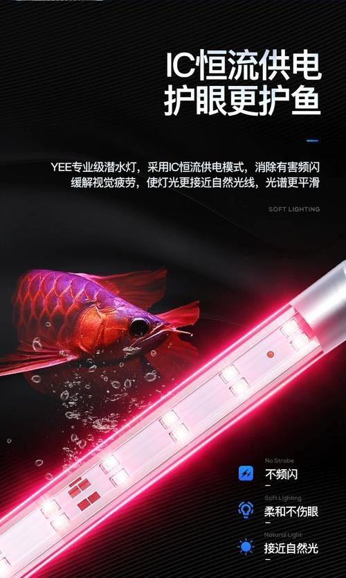 龍魚缸潛水燈正確擺放圖