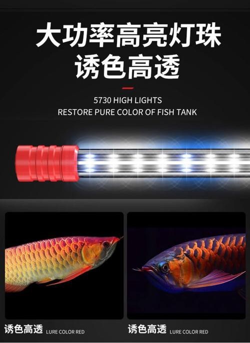 龍魚缸潛水燈正確擺放圖