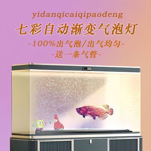 龍魚缸潛水燈正確擺放圖