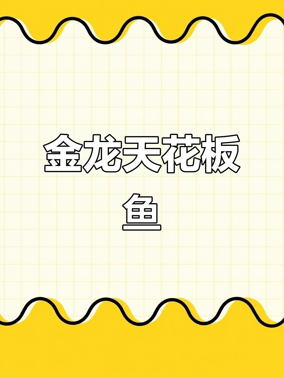 金頭過背龍魚的價格是多少？
