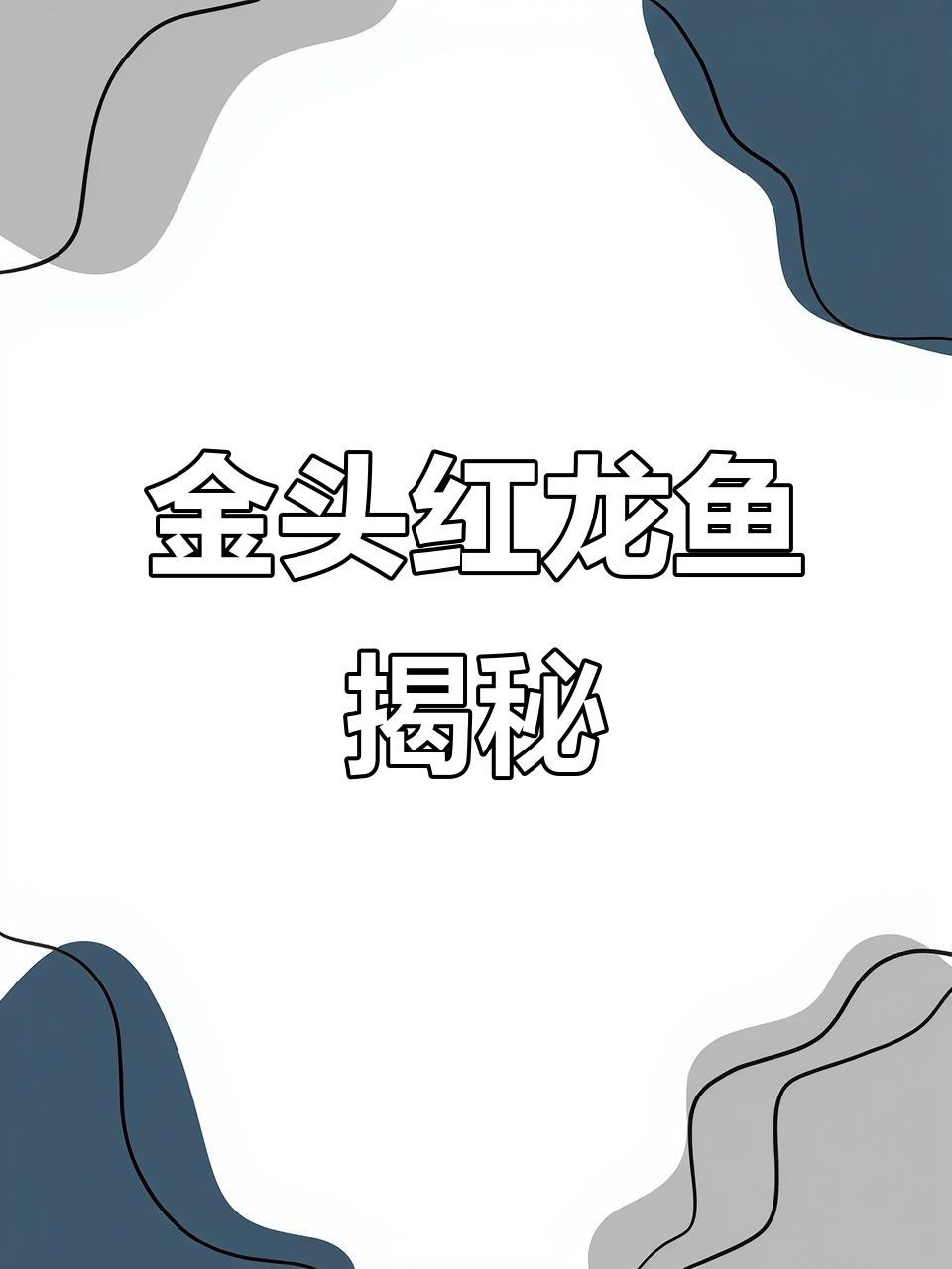 金頭過背龍魚的價格是多少？