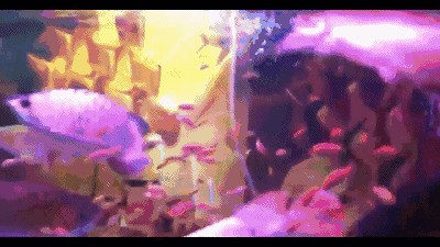 龍魚躁動不安預兆著什么：龍魚躁動不安預兆著什么，