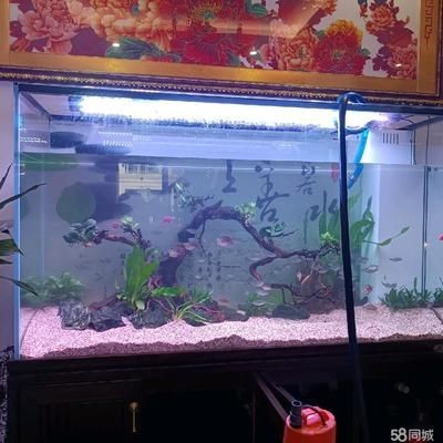 附近修魚缸電話（修魚缸電話）