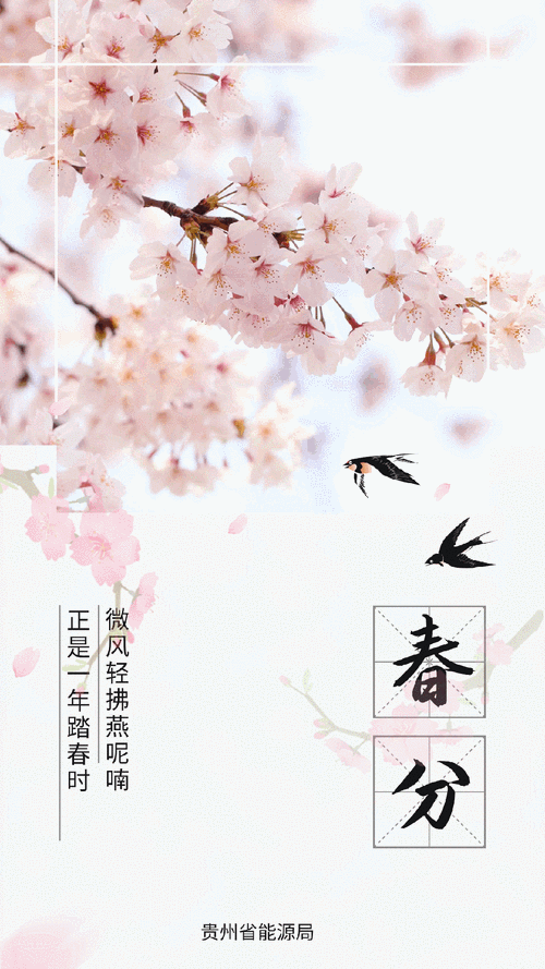 有沒有高清龍壁紙手機版？