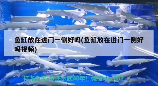 博樂市鴻五星商行（博樂市鴻星爾克專賣店）