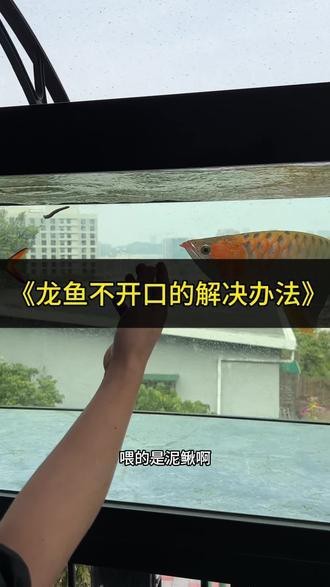 大同市平城區(qū)森森園林綠化中心（大同平城區(qū)園林處招標(biāo)） 大同市平城區(qū)森森園林綠化中心（大同平城區(qū)園林處招標(biāo)） 全國水族館企業(yè)名錄 第5張