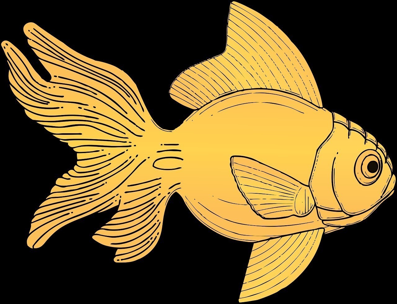 黃鰭鯧魚(yú)最忌三個(gè)東西