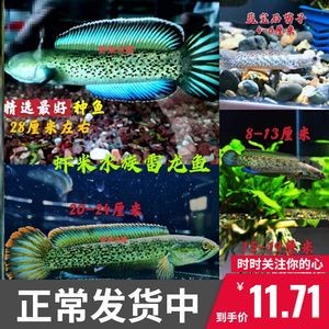 龍魚扣吊墜：龍魚扣吊墜寓意吉祥