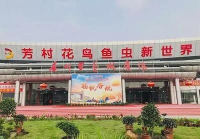 盤古杯世界龍魚錦標賽第四名獎金多少元一個，如何查詢盤古杯世界龍魚錦標賽第四名獎金分配