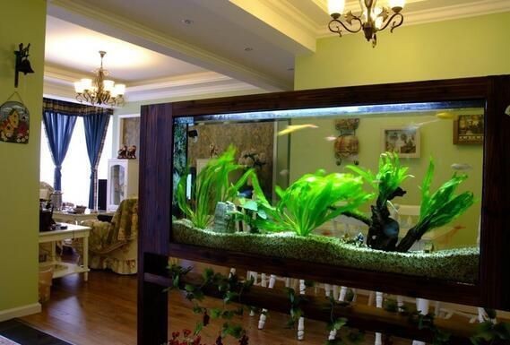 龍魚送什么人比較合適？