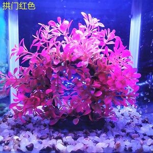 拱門魚缸造景造景效果圖：拱門魚缸造景拱門魚缸造景拱門魚缸造景效果圖 拱門魚缸造景造景效果圖：拱門魚缸造景拱門魚缸造景拱門魚缸造景效果圖 魚缸百科 第1張