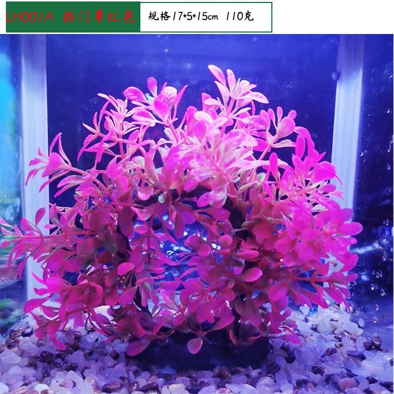 拱門魚缸造景造景效果圖：拱門魚缸造景拱門魚缸造景拱門魚缸造景效果圖 拱門魚缸造景造景效果圖：拱門魚缸造景拱門魚缸造景拱門魚缸造景效果圖 魚缸百科 第3張