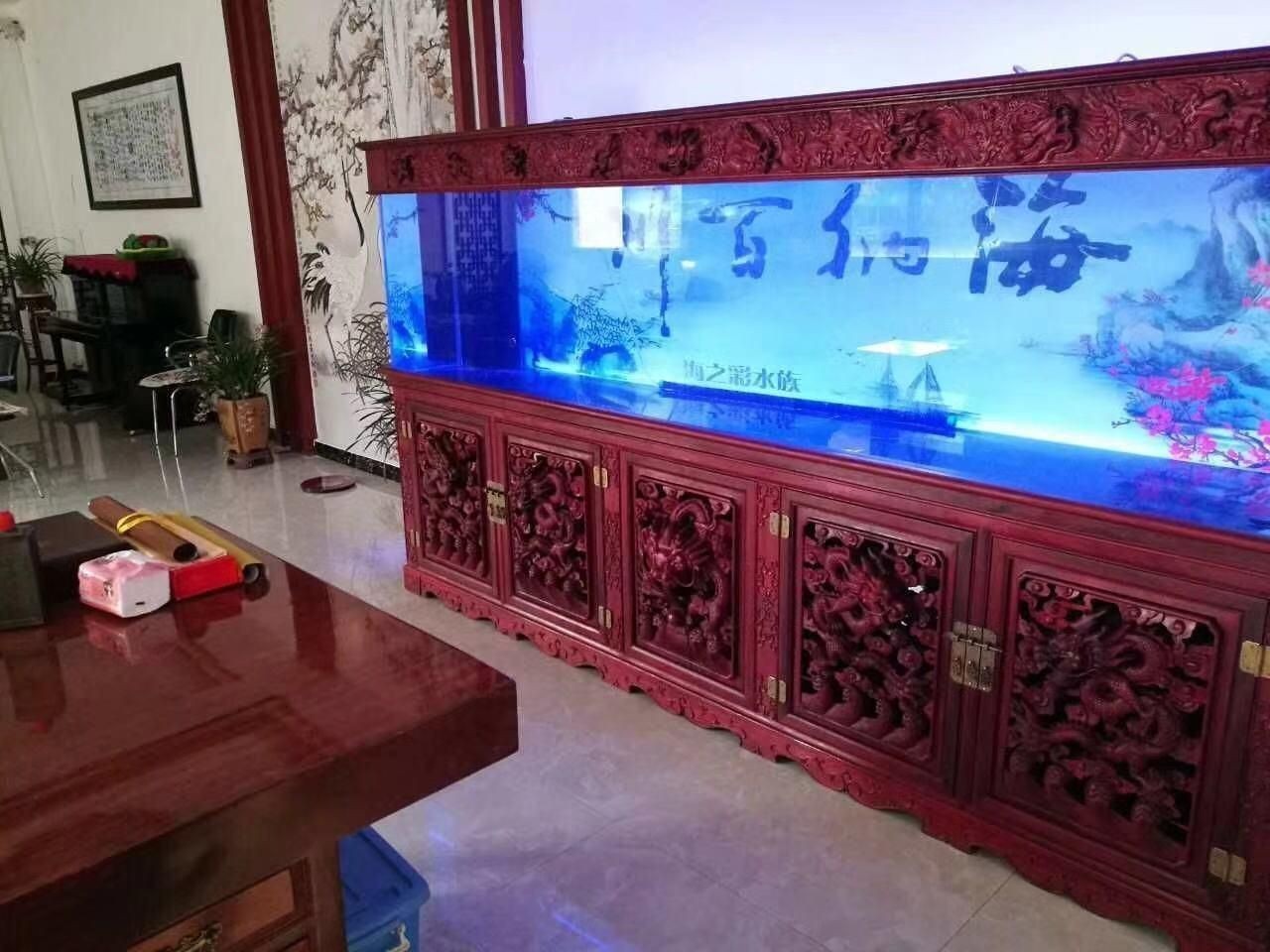 魚缸搭配魚：如何根據(jù)魚缸的尺寸、形狀和設(shè)計(jì)選擇適合的魚類