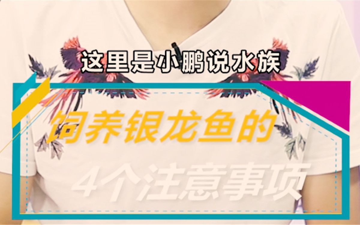 養銀龍魚10大忠告