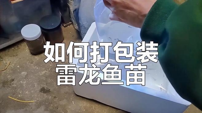 龍魚怎么打包裝的