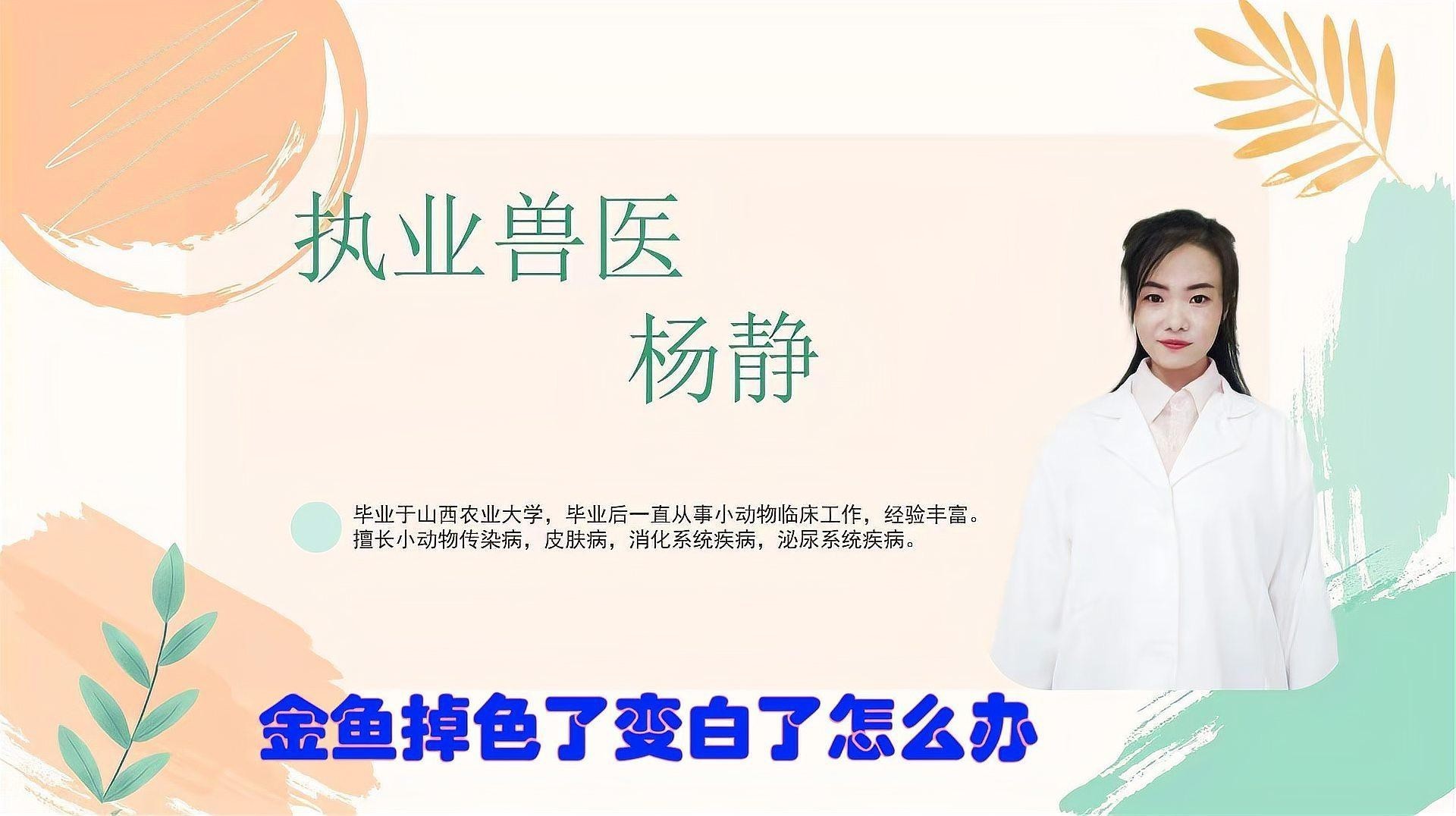 銀龍魚怎么變白了
