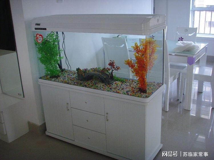 蘇州市平江區新洲港水族館（蘇州市平江區新洲港水族館地址）