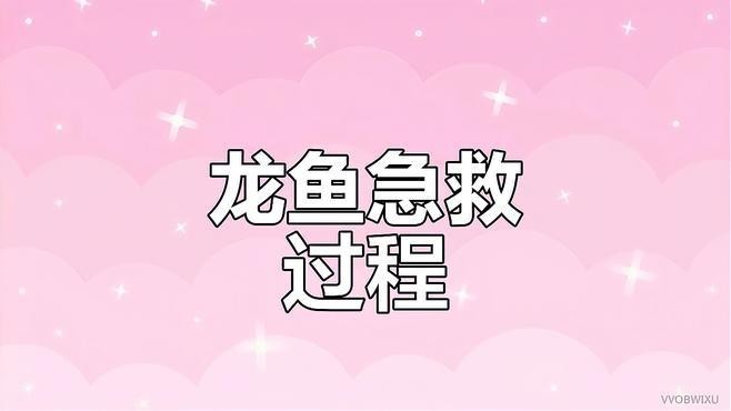 龍魚假死搶救成功率高嗎？