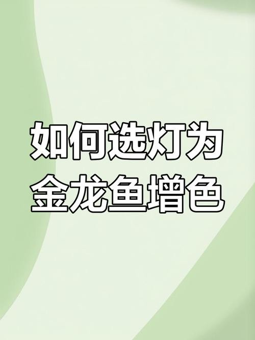 龍魚發色燈正確位置圖片