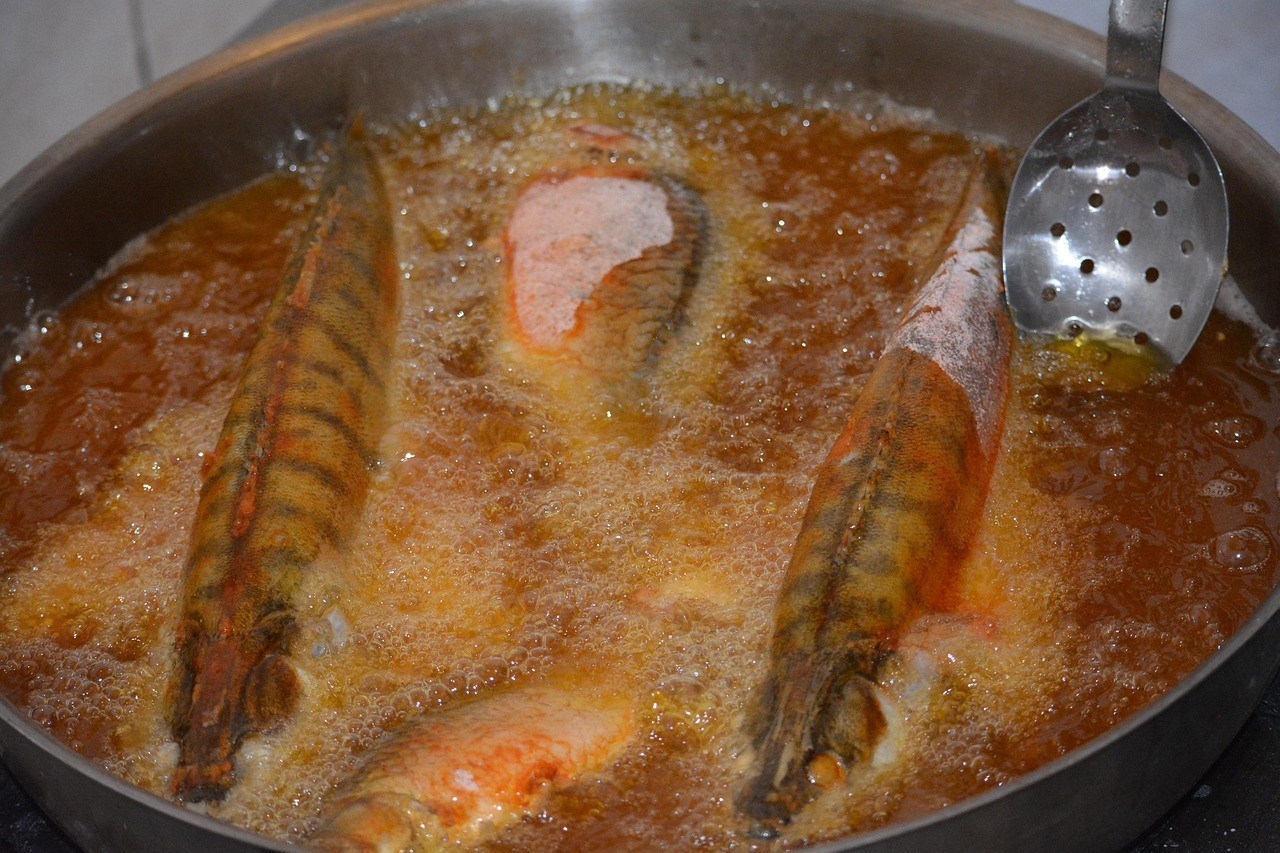 適合懶人養的魚淡水好養