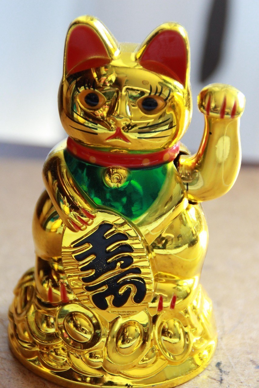 黃金貓和田玉 龍魚論壇 第2張 黃金貓和田玉 黃金貓和田玉 龍魚論壇 第2張