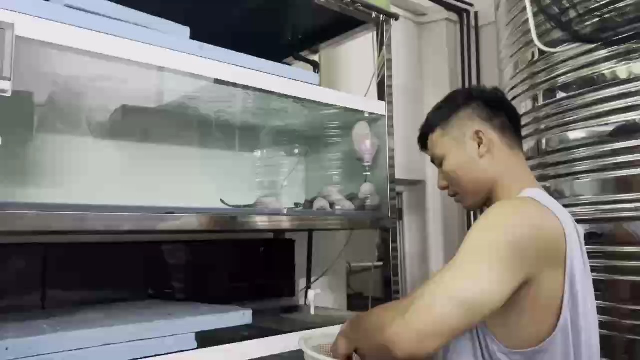 所看法和評價都是暫時