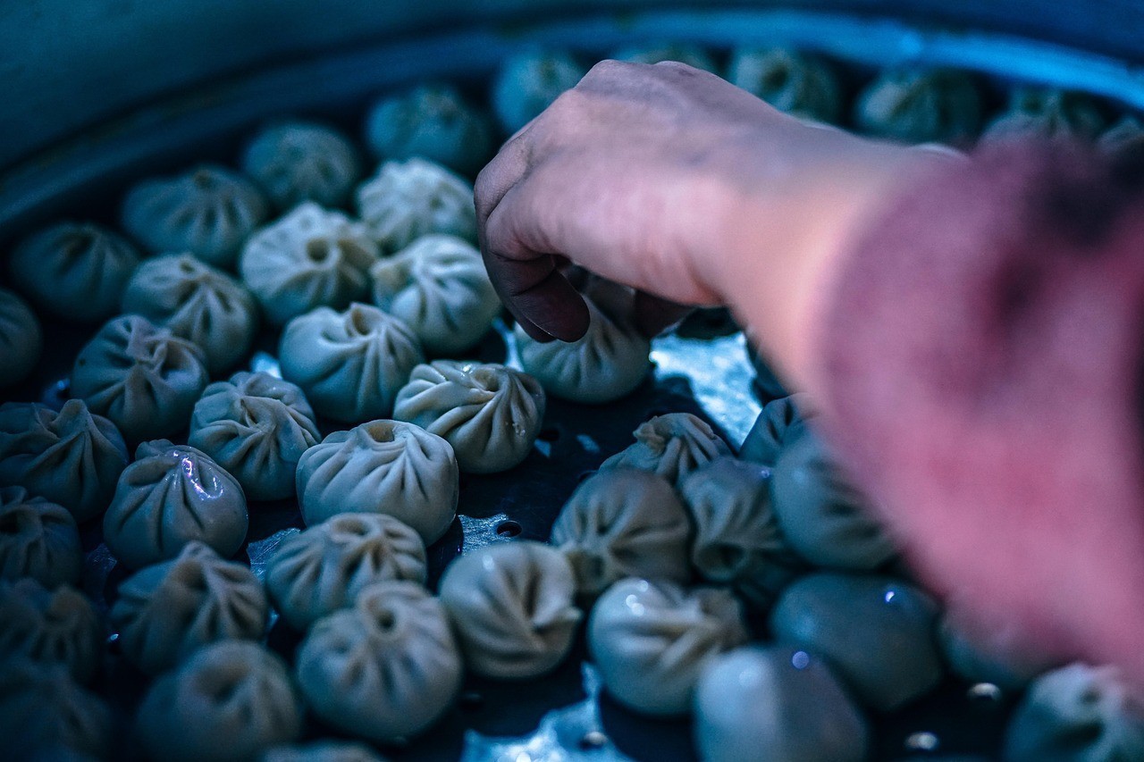 十大最好養(yǎng)的燕魚 十大最好養(yǎng)的燕魚 龍魚論壇 第1張